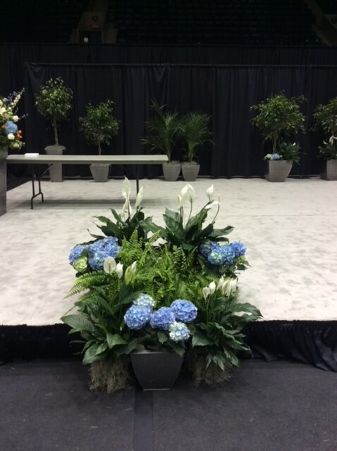 Stage Plant Grouping